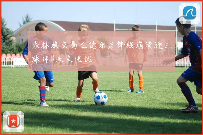 森林狼交易兰德尔后锋线崩溃迎三球评D未来堪忧